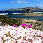Velalatina Pensión Stintino