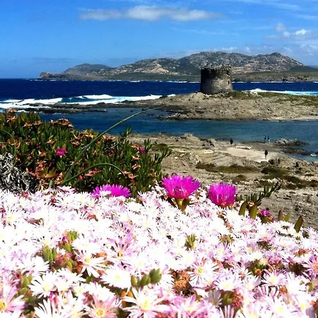 Velalatina Maison d'hôtes Stintino