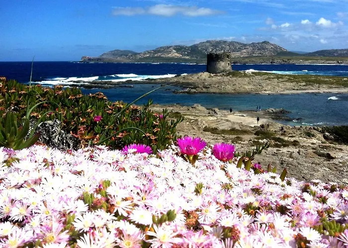 Velalatina Гостевой дом Стинтино